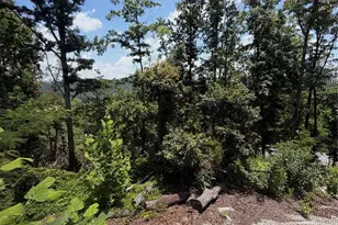 11058 US 221 Hwy, Marion, NC 28752 - Photo 15