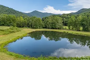 793 State Hwy 197 S, Burnsville, NC 28714 - Photo 5