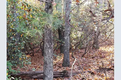 Tbd Top Oaks Lane #Lot 58, Pisgah Forest, NC 28768 - Photo 5
