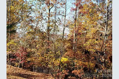 Tbd Top Oaks Lane #Lot 58, Pisgah Forest, NC 28768 - Photo 1