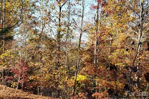Tbd Top Oaks Ln, Pisgah Forest, NC 28768 - Photo 1