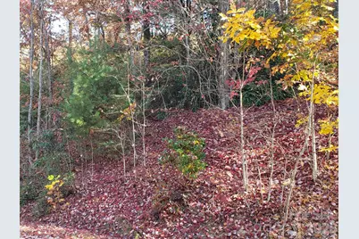 Tbd Top Oaks Lane #Lot 58, Pisgah Forest, NC 28768 - Photo 7
