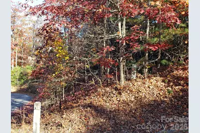 Tbd Top Oaks Lane #Lot 58, Pisgah Forest, NC 28768 - Photo 9