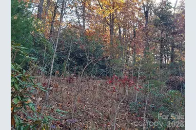 Tbd Top Oaks Lane #Lot 58, Pisgah Forest, NC 28768 - Photo 11
