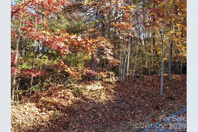 Tbd Top Oaks Lane #Lot 58, Pisgah Forest, NC 28768 - Photo 13
