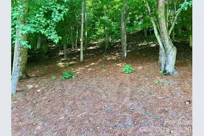 243 Riversound Village, Hayesville, NC 28904 - Photo 11