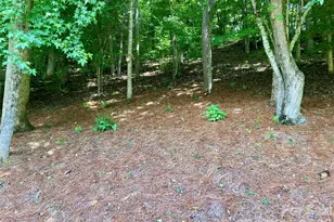243 River Sound Village, Hayesville, NC 28904 - Photo 11
