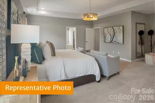 4203 Ruth Crk Ct, Charlotte, NC 28216 - Photo 11