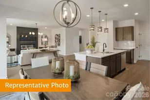 4203 Ruth Crk Ct, Charlotte, NC 28216 - Photo 7