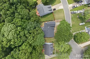 8313 Houndstooth Dr, Charlotte, NC 28227 - Photo 9