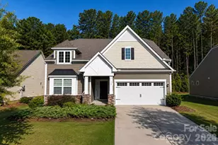 116 Van Gogh Trail, Mount Holly, NC 28120 - Photo 29