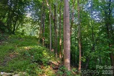 00 Ragans Pointe Pointe #58, Columbus, NC 28722 - Photo 5