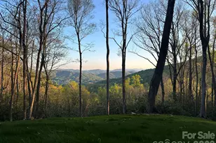 000 Hemlock Grove Trail, Fletcher, NC 28732 - Photo 1