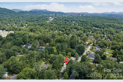 253 Edgewood Road, Asheville, NC 28804 - Photo 3
