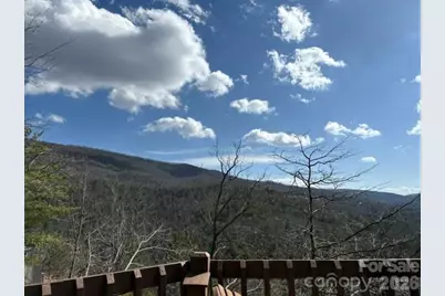 452 Wilderness Drive, Marion, NC 28752 - Photo 9