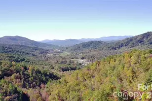 452 Wilderness Dr, Marion, NC 28752 - Photo 11