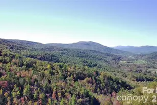 452 Wilderness Dr, Marion, NC 28752 - Photo 7