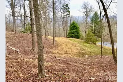 120 Ben Lippen School Road, Asheville, NC 28806 - Photo 9