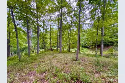 120 Ben Lippen School Road, Asheville, NC 28806 - Photo 7