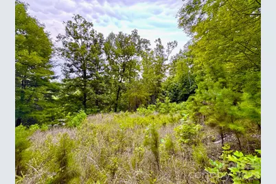 120 Ben Lippen School Road, Asheville, NC 28806 - Photo 5