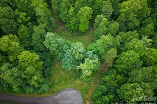 120 Ben Lippen School Rd, Asheville, NC 28806 - Photo 1