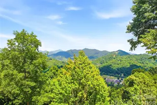106 Coyote Ridge, Maggie Valley, NC 28751 - Photo 45