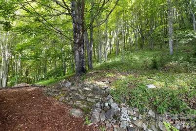 299 Basswood Road, Hot Springs, NC 28743 - Photo 35