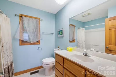 299 Basswood Road, Hot Springs, NC 28743 - Photo 25
