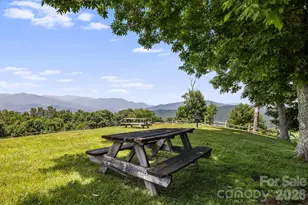 299 Basswood Rd, Hot Springs, NC 28743 - Photo 41