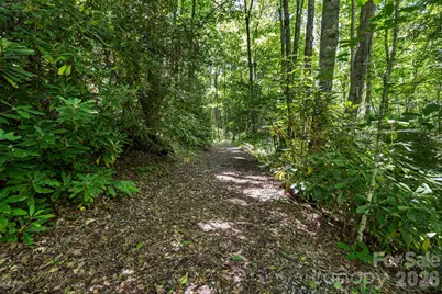 299 Basswood Road, Hot Springs, NC 28743 - Photo 39