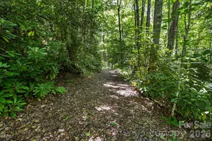 299 Basswood Rd, Hot Springs, NC 28743 - Photo 39