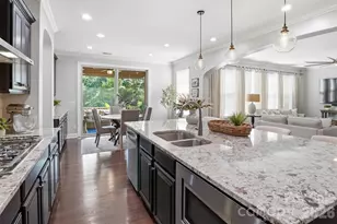 742 Pela Vista Ct, Fort Mill, SC 29715 - Photo 13