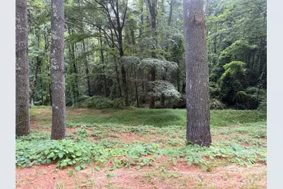 1359 Lamb Mountain Road, Hendersonville, NC 28792 - Photo 5