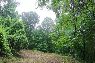 385 Valley View Dr, Maggie Valley, NC 28751 - Photo 1