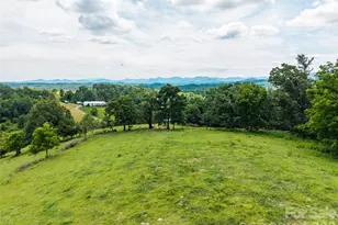 737 Tillery Br Rd, Marshall, NC 28753 - Photo 5