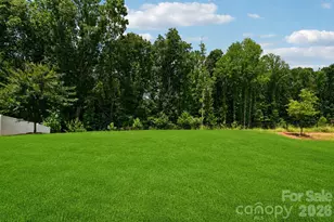 148 Tanner Loop, Troutman, NC 28166 - Photo 37