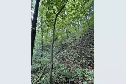 1873 Unahala Creek Road, Bryson City, NC 28713 - Photo 3