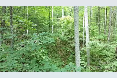 1873 Unahala Creek Road, Bryson City, NC 28713 - Photo 7