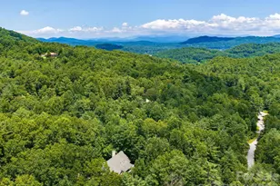 49 Indian Ridge Trail, Hendersonville, NC 28739 - Photo 41