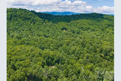 49 Indian Ridge Trail, Hendersonville, NC 28739 - Photo 39