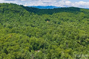 49 Indian Ridge Trail, Hendersonville, NC 28739 - Photo 39
