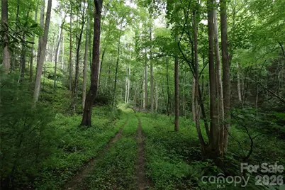 Tbd Blowing Rock Road, Lenoir, NC 28645 - Photo 1
