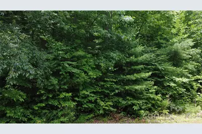 Tbd Blowing Rock Road, Lenoir, NC 28645 - Photo 21
