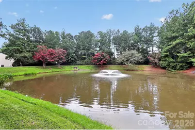 10866 Holly Ridge Boulevard, Charlotte, NC 28216 - Photo 43