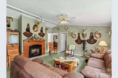 98 Cardinal Lane, Burnsville, NC 28714 - Photo 3