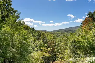 26 Burnt Ridge Trail, Black Mountain, NC 28711 - Photo 41