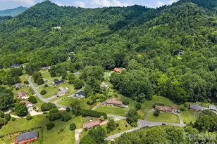 44 Green Dr, Waynesville, NC 28785 - Photo 41