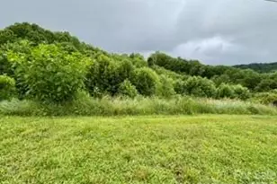 244 Flat Springs Rd, Elk Park, NC 28622 - Photo 25