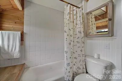 244 Flat Springs Road, Elk Park, NC 28622 - Photo 11