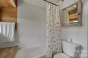 244 Flat Springs Rd, Elk Park, NC 28622 - Photo 11